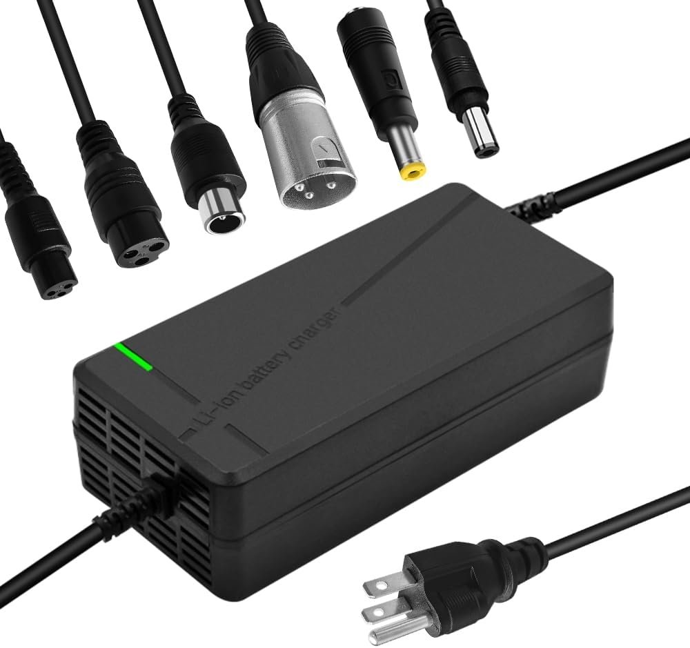 54.6V 5A Fast Charger for 48V Lithium Batteries