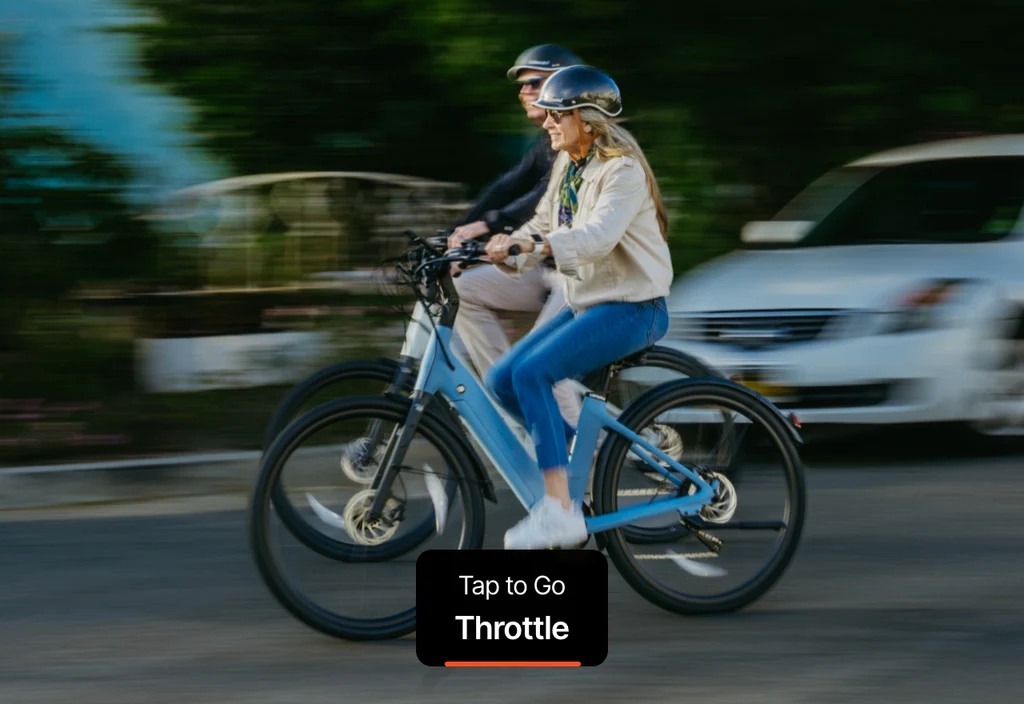 Carbon Classic Step-Thru - Image 3