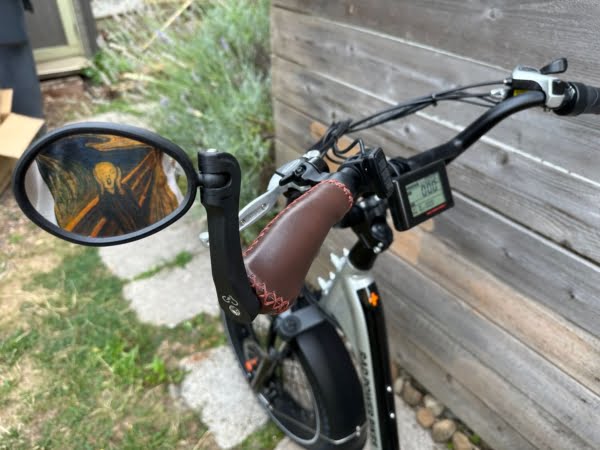 RadRunner Plus Like New with Only 49 Original Miles! - Image 7