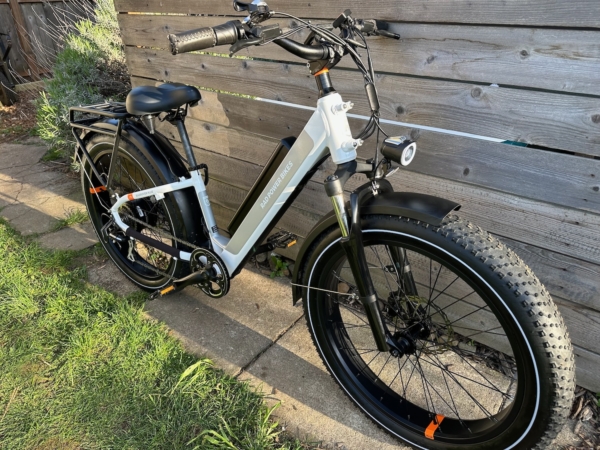 RadRover 6 Plus Step-Thru Fat Tire eBike - Image 3