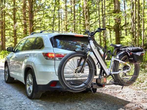 RadRover 6 Plus Step-Thru Fat Tire eBike - Image 10