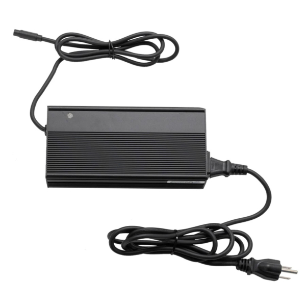 Lectric Fast Charger